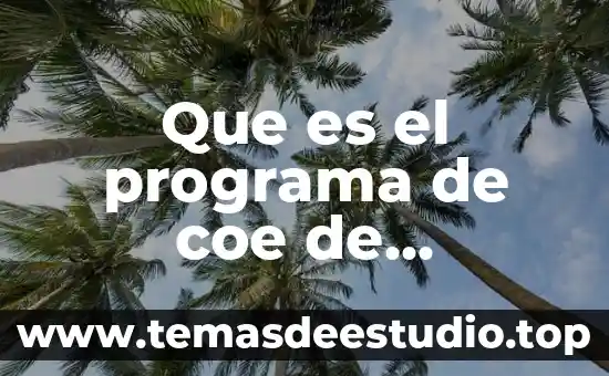 Qué es icono de programa 7 Que es el programa de coe de cancerología