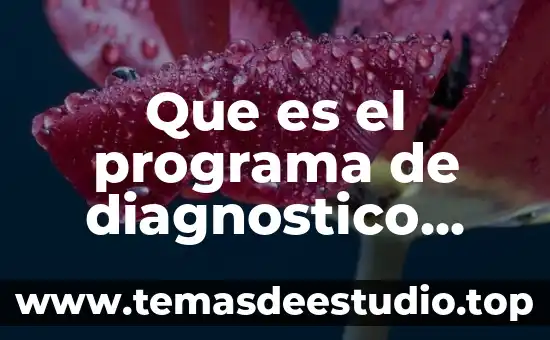 Que es el programa de pensamiento productivo 3 Que es el programa de diagnostico passt