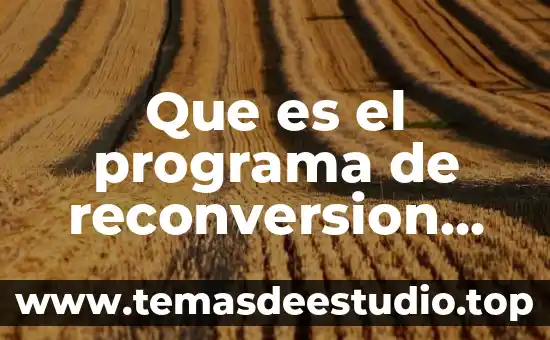 Que es el programa de pensamiento productivo 4 Que es el programa de reconversion en pinos zacatecas 2015