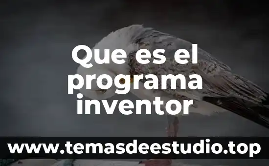 Que es la cobertura de un programa asistencial 6 Que es el programa inventor