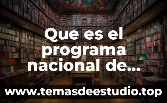 Qué es el programa proyect 7 Que es el programa nacional de resarcimiento guatemala
