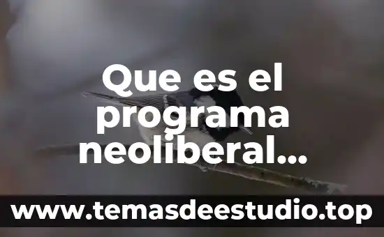 Que es el programa neoliberal durante el fascismo