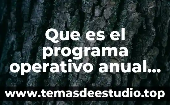 Que es una virtualizacion de sistema operativo 8 Que es el programa operativo anual poa