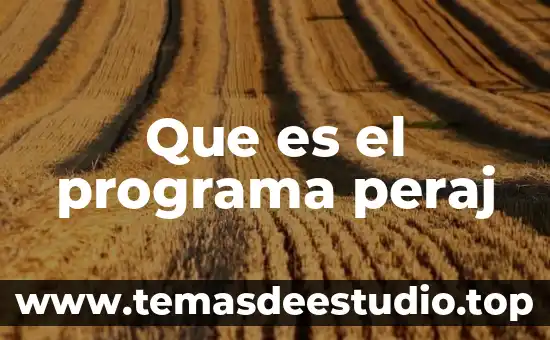 Qué es icono de programa 4 Que es el programa peraj