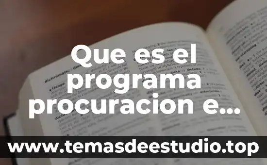 Que es un producto original quilty 8 Que es el programa procuracion e imparticion de justicia