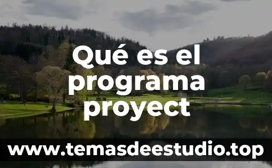 Que es el programa peso a peso 8 Qué es el programa proyect