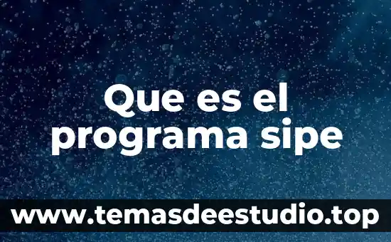 Qué es icono de programa 5 Que es el programa sipe