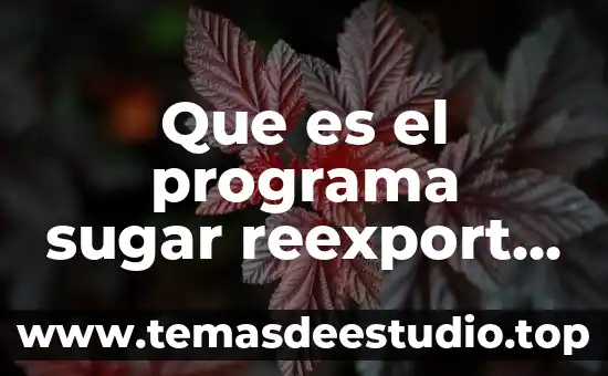 Corporate program manager que es 7 Que es el programa sugar reexport program