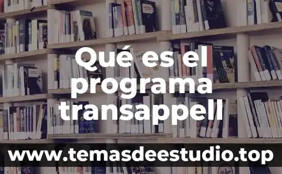 Qué es icono de programa 6 Qué es el programa transappell