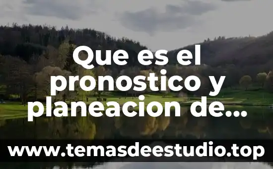 Que es el pronostico y planeacion de capital humano