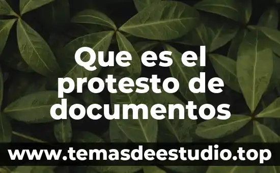 Que es desglose de documentos 8 Que es el protesto de documentos