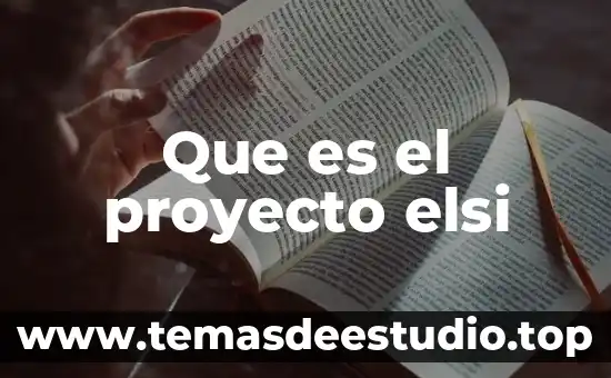 Que es el proyecto elsi