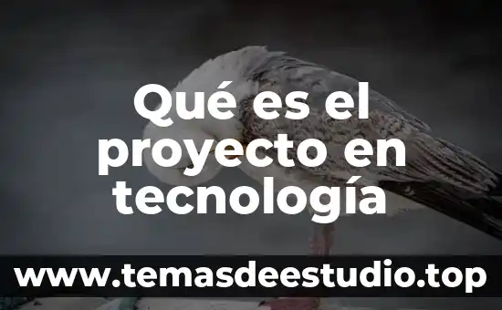 Que es la tecnologia en arquitectura 5 Qué es el proyecto en tecnología