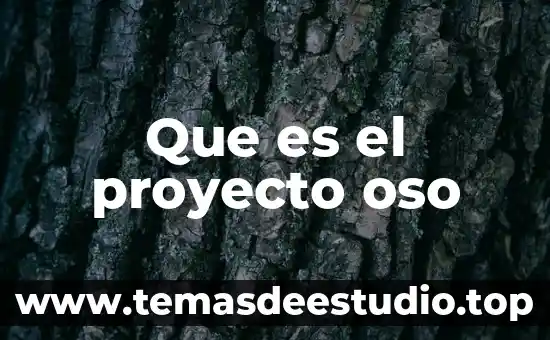 Que es el proyecto oso