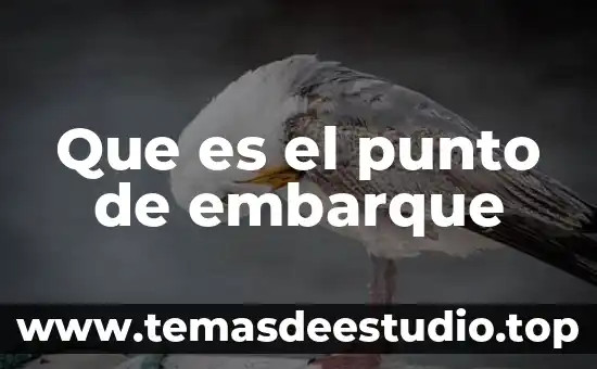 Qué es el punto tejer una bufanda 5 Que es el punto de embarque