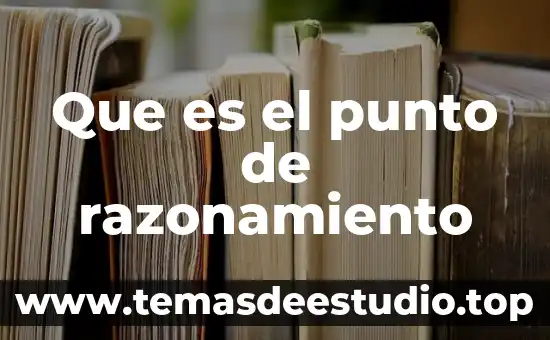 Que es el punto de razonamiento