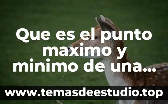 Qué es lo máximo que se puede retrasar el periodo 4 Que es el punto maximo y minimo de una funcion