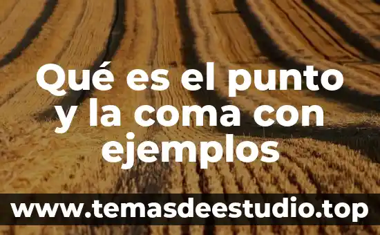 Que es el punto coma 5 Qué es el punto y la coma con ejemplos
