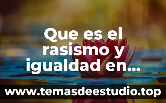 Que es el rasismo y igualdad en mapa mental