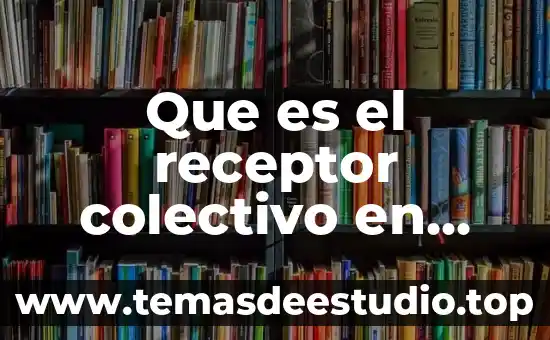 Que es el codigo en la comunicacion concepto 6 Que es el receptor colectivo en ciencias de la comunicación