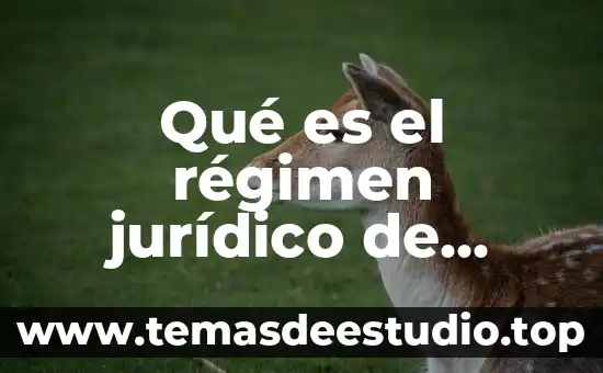 Qué es número exterior e interior ejemplo 5 Qué es el régimen jurídico de comercio exterior