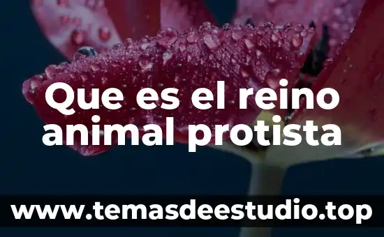 Que es el reino monera en biologia 6 Que es el reino animal protista