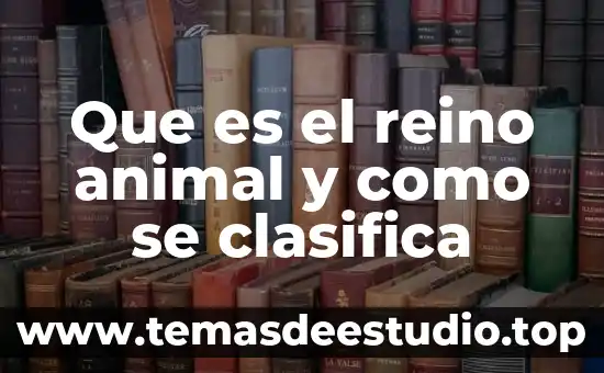 Que es el reino animal protista 3 Que es el reino animal y como se clasifica