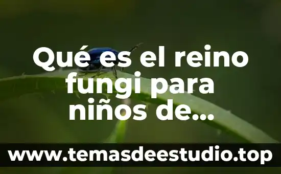 Que es la estrella para niños de primaria 6 Qué es el reino fungi para niños de primaria