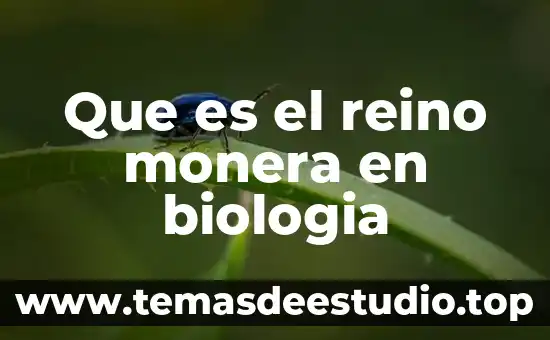 Que es el reino animal protista 4 Que es el reino monera en biologia