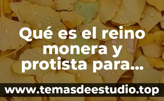 Que es el reino animal protista 7 Qué es el reino monera y protista para biología