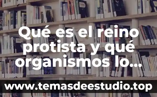 Que es el reino animal protista 5 Qué es el reino protista y qué organismos lo conforman