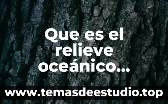 Que es un frainciscano resumido 3 Que es el relieve oceánico resumido