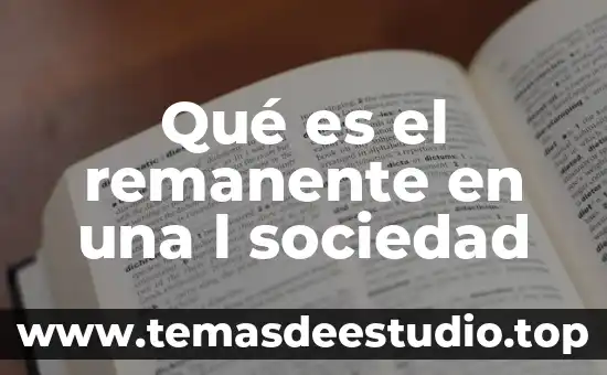 Que es la sociedad unipersonal en bolivia 7 Qué es el remanente en una l sociedad