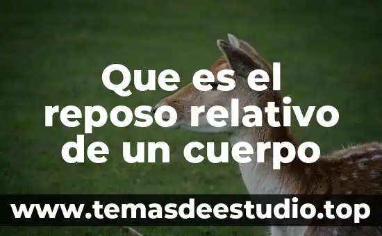 Qué es el número relativo 4 Que es el reposo relativo de un cuerpo