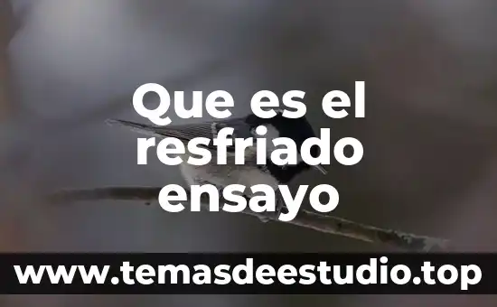 Que es la tesis en un ensayo 3 Que es el resfriado ensayo