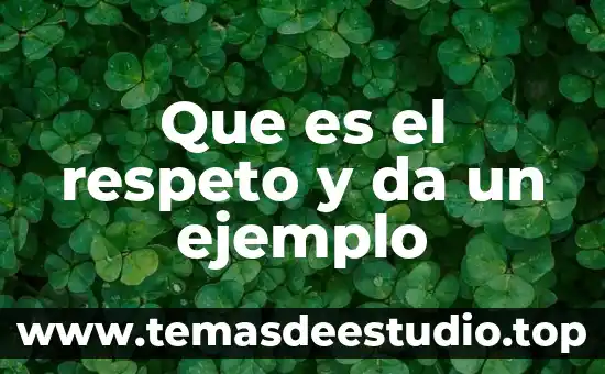Que es nombre de vialidad ejemplo 7 Que es el respeto y da un ejemplo