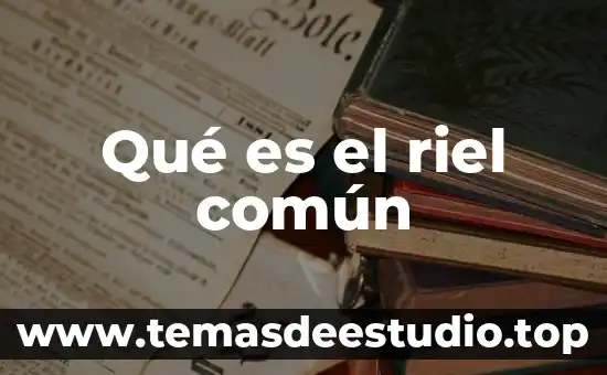 Qué es asma bronquial nombre común 5 Qué es el riel común