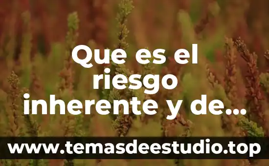 Que es el riesgo inherente y de control