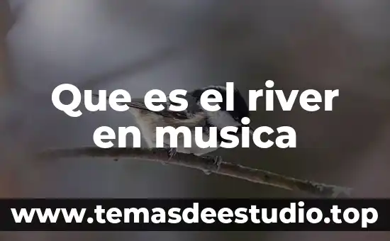 Qué es el sonido en música 8 Que es el river en musica