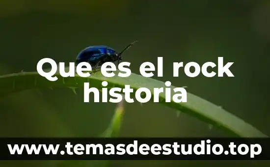 Que es historia de vida segun autores 5 Que es el rock historia