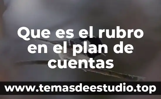 Que es rubro de efectivo 3 Que es el rubro en el plan de cuentas