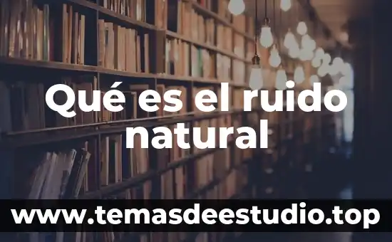 Que es un elemento natural flor 8 Qué es el ruido natural