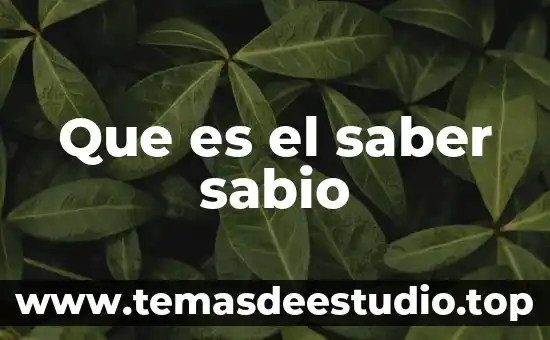 Que es lo que seberia saber un electromecanico 7 Que es el saber sabio