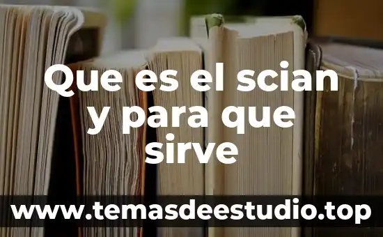 Que es un directorio y para que sirve significado 6 Que es el scian y para que sirve
