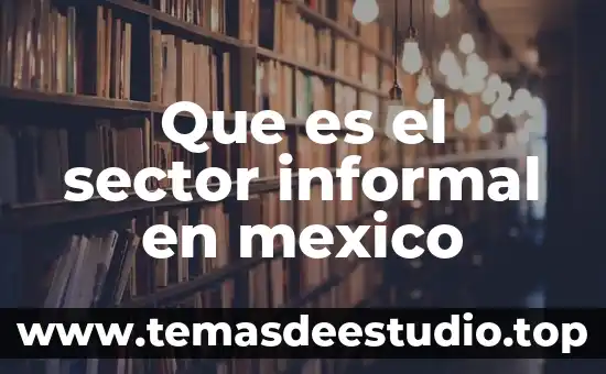 Qué es significa naco en México 3 Que es el sector informal en mexico