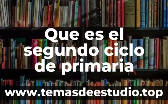Que es el segundo ciclo de primaria
