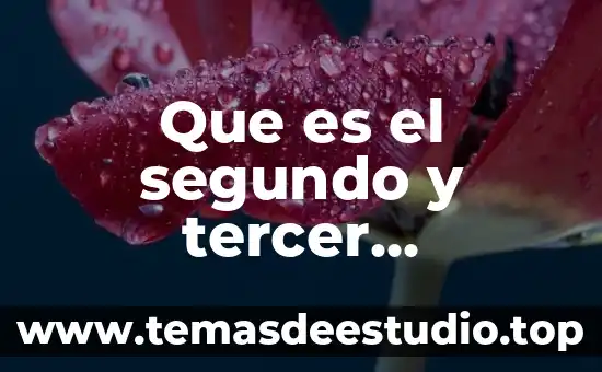 A que es equivalente libras fuerza pie segundo 7 Que es el segundo y tercer condicional en ingles