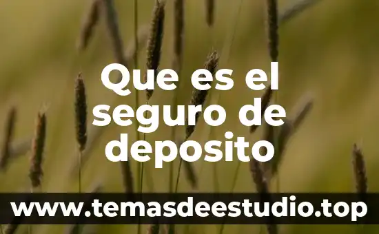 Que es el seguro de deposito