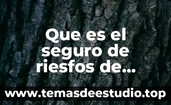 Que es el seguro de riesfos de trebajap