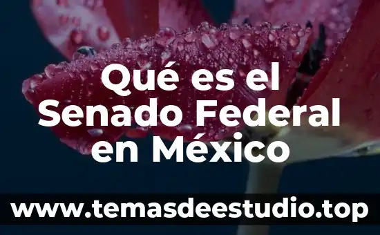 Que es sociedad en nombre colectivo en mexico 3 Qué es el Senado Federal en México